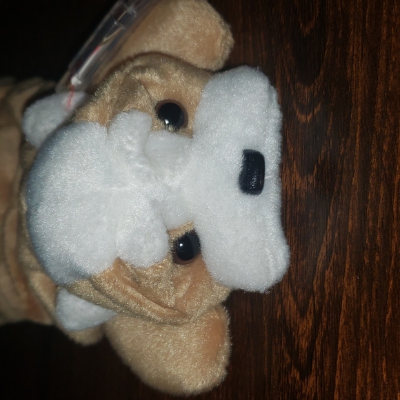 Ty Beanie babies collection Wrinkles 1996 - Picture 2 of 6